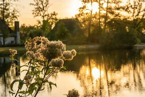 Wellnesswochenende Lüneburger Heide