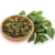 Obstmix-Photoroom